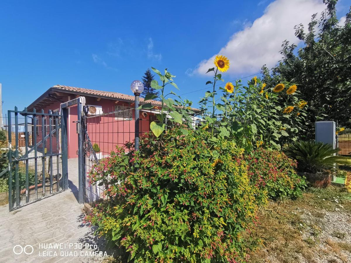 Bed And Breakfast "Anna" Bagnara Calabra Exteriér fotografie